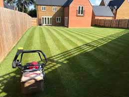 Lawn mowing and Trimming