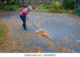 Driveway / Sidewalk Sweeping